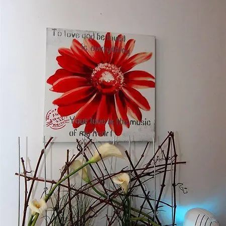 Affittacamere City Pension Erding Erding